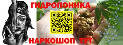 хмурый Шебекино